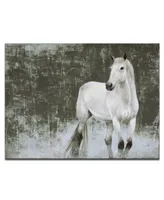 Ready2HangArt, 'White Horse Canvas Wall Art, 30x40"