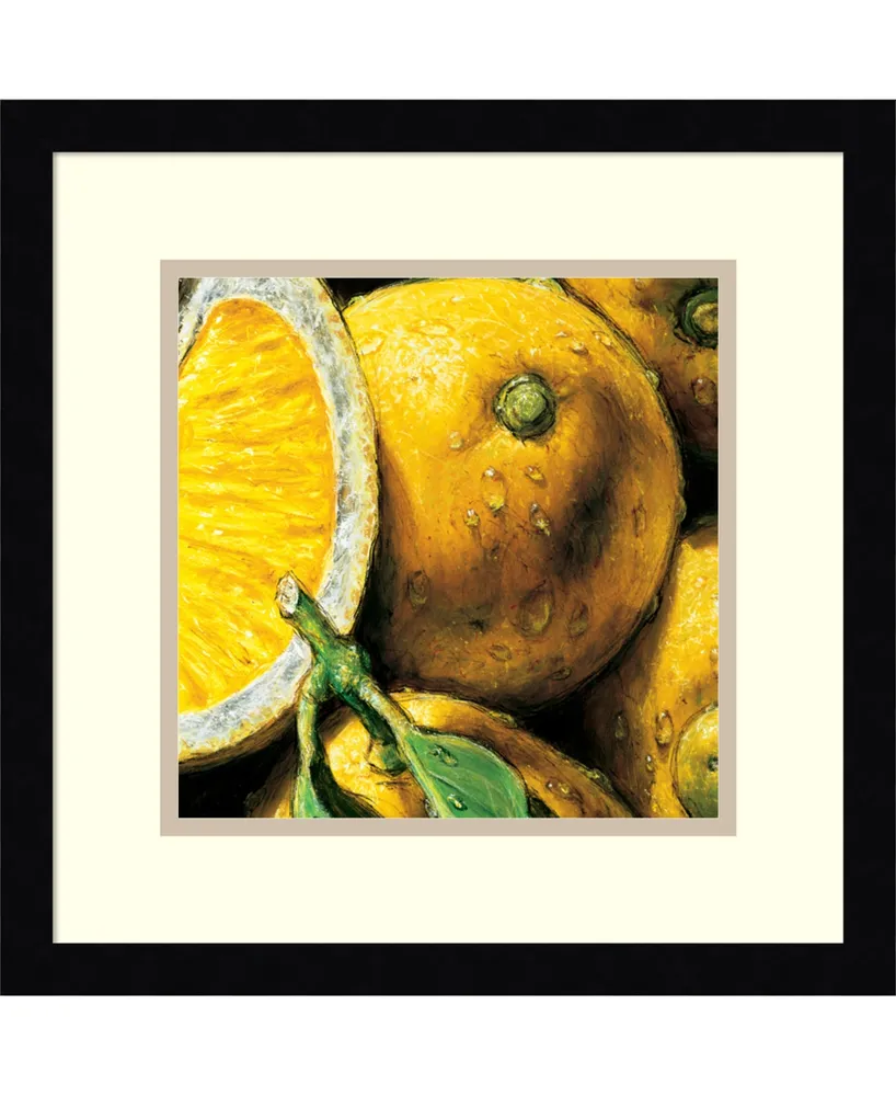 Amanti Art Lemons Framed Art Print