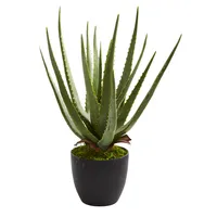 Nearly Natural Aloe Artificial Plant, Set of 2