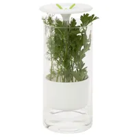 Honey Can Do Glass Herb Preserver