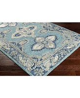 Surya Bonifate Bft-1000 Aqua 2' x 3' Area Rug
