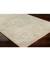 Surya Cambridge Cmb-8014 Aqua 2' x 3' Area Rug