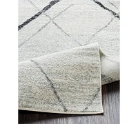 Livabliss Elaziz Elz-2323 Light Gray 2'7" x 7'6" Runner Area Rug