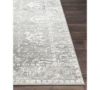 Livabliss Monte Carlo Mnc-2311 6'7" x 9' Area Rug