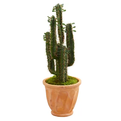 Nearly Natural 3' Cactus Artificial Plant in Terra Cotta Planter
