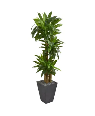 Nearly Natural 5.5' Cornstalk Dracaena Artificial Plant in Slate Planter - Real Touch