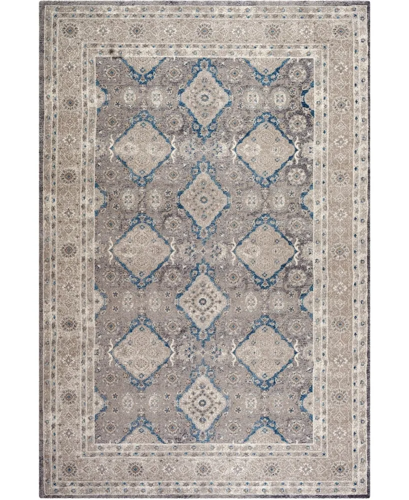 Safavieh Sofia SOF366 Light Gray and Beige 6'7" x 9'2" Area Rug