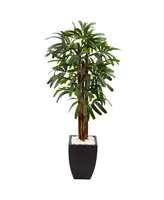 Nearly Natural 5.5' Raphis Palm Artificial Tree in Black Planter