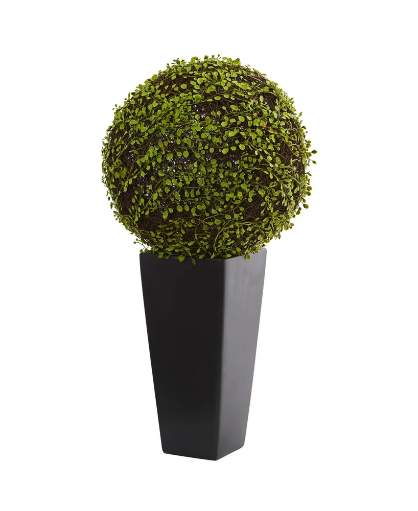 Nearly Natural Mohlenbechia Ball Artificial Plant in Black Tower Vase