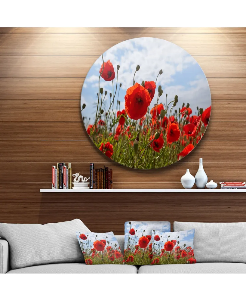 Isolated Red Poppy Flowers On Metal Print