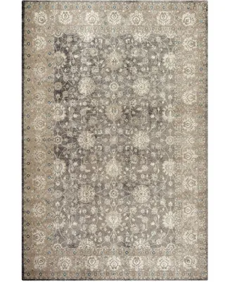 Safavieh Sofia SOF330 Light Gray and Beige 6'7" x 9'2" Area Rug