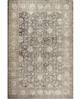 Safavieh Sofia SOF330 Light Gray and Beige 6'7" x 9'2" Area Rug