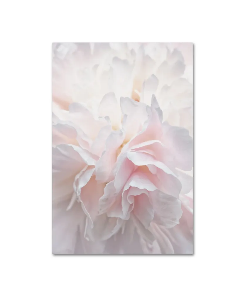 Cora Niele 'Pink Peony Petals Iv' Canvas Art - 19" x 12" x 2"