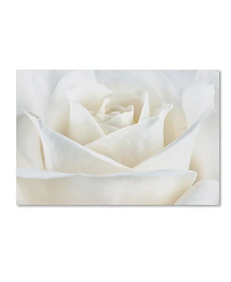 Cora Niele 'Pure White Rose' Canvas Art - 47" x 30" x 2"