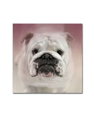 Jai Johnson 'Got Treat Bulldog Puppy' Canvas Art - 14" x 14" x 2"