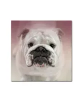 Jai Johnson 'Got Treat Bulldog Puppy' Canvas Art - 14" x 14" x 2"