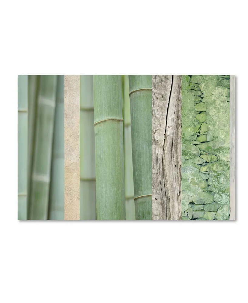 Cora Niele 'Green Bamboo Collage' Canvas Art - 19" x 12" x 2"