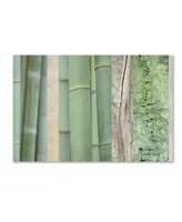 Cora Niele 'Green Bamboo Collage' Canvas Art - 19" x 12" x 2"