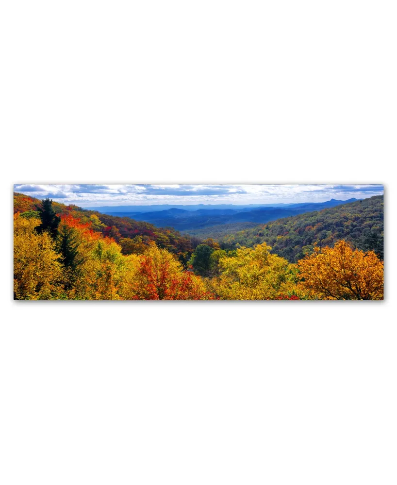 Doug Cavanah 'Autumn Forest' Canvas Art - 19" x 6" x 2"