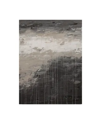 Hilary Winfield 'Lithosphere Gray Paint' Canvas Art - 47" x 35" x 2"