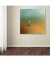 Jai Johnson 'Egret at Sea' Canvas Art - 14" x 14" x 2"