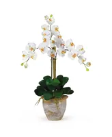 Nearly Natural Triple Phalaenopsis Silk Orchid Flower Arrangement