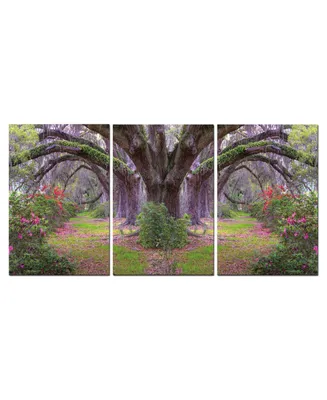 Chic Home Decor Lavender Cherry 3 Piece Wrapped Canvas Wall Art Garden -27" x 60"