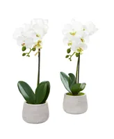 Nearly Natural Phalaenopsis Orchid Artificial Arrangement (Set of 2)