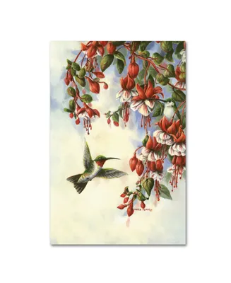 Wanda Mumm 'Hummingbird D' Canvas Art - 24" x 16" x 2"