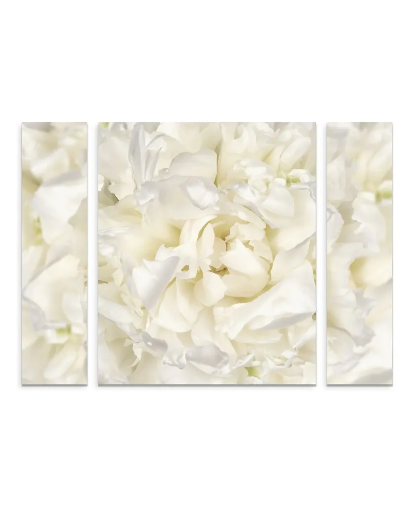 Cora Niele 'White Peony Flower' Multi Panel Art Set Small - 24" x 32" x 2"