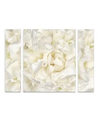 Cora Niele 'White Peony Flower' Multi Panel Art Set Small - 24" x 32" x 2"