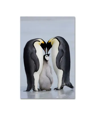 Robert Harding Picture Library 'Two Penguins' Canvas Art - 19" x 12" x 2"