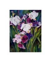 Joanne Porter 'Wind Blown Iris' Canvas Art - 24" x 18" x 2"