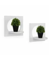 Danya B. Set of 2 Silhouette Shelves