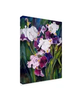 Joanne Porter 'Wind Blown Iris' Canvas Art - 24" x 18" x 2"