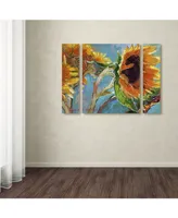 Richard Wallich 'Sun 11' Multi Panel Art Set Large - 25" x 30" x 2"