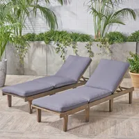 Ariana Outdoor Chaise Lounge, Set of 2