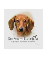 Howard Robinson 'Red Smooth Dachshund' Canvas Art - 18" x 18"