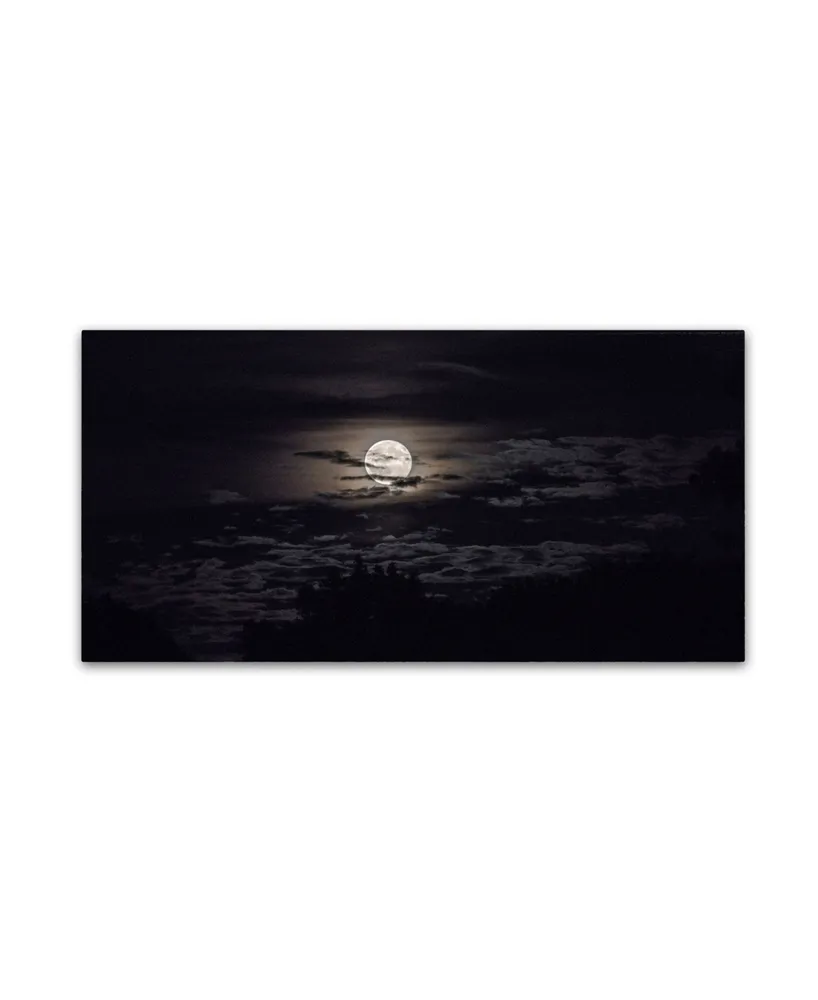 Kurt Shaffer 'Full Moon in Aquarius' Canvas Art - 24" x 47"