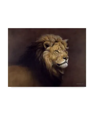 Harro Maass 'Lion Male' Canvas Art