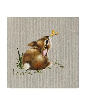 Peggy Harris 'Tiny Bunny' Canvas Art - 24" x 24"