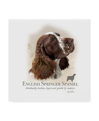 Howard Robinson 'English Springer Spaniel' Canvas Art - 14" x 14"