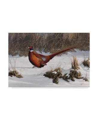 Wilhelm Goebel 'Winter Walk Pheasant' Canvas Art - 12" x 19"