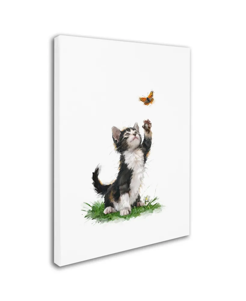 The Macneil Studio 'Cat With Butterfly' Canvas Art - 18" x 24"