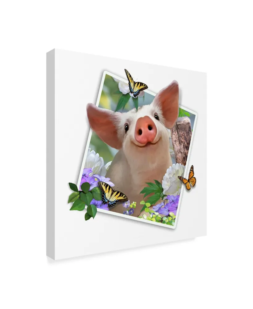 Howard Robinson 'Baby Pig Photograph' Canvas Art - 18" x 18"