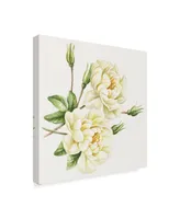 Janneke Brinkman-Salentijn 'Single Yellow Rose' Canvas Art - 14" x 14"