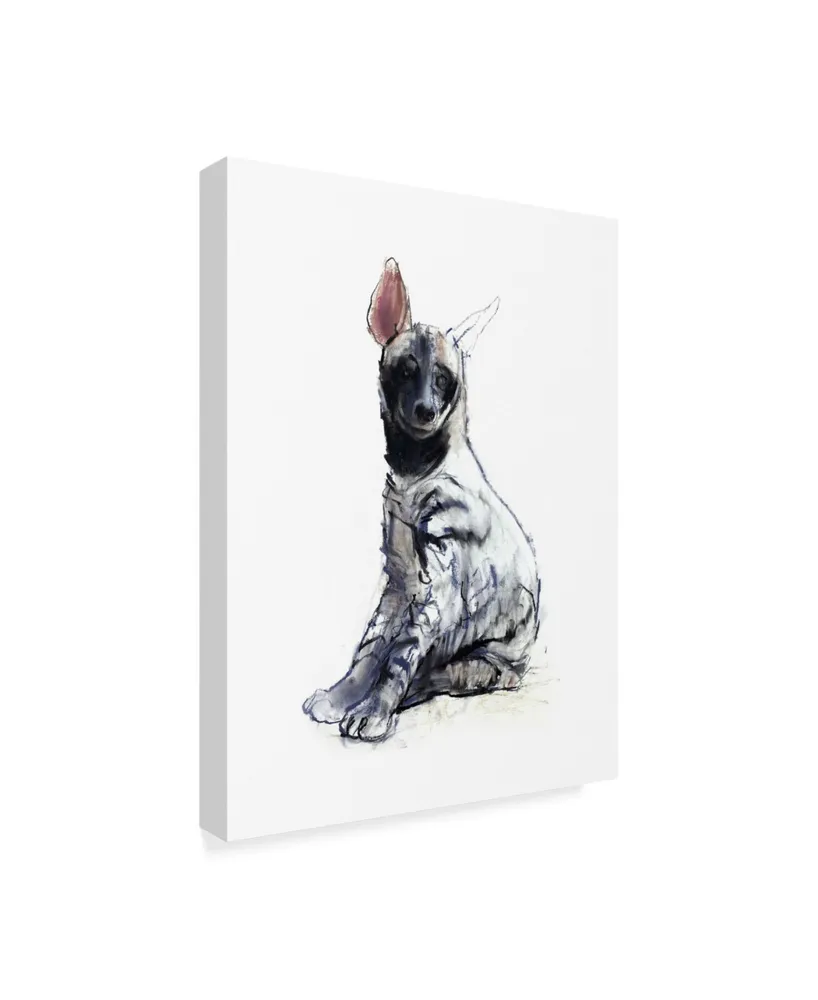 Mark Adlington 'Striped Hyena Pup Seated' Canvas Art - 18" x 24"