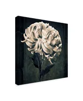 Michael Harrison 'Mum Texture' Canvas Art - 14" x 14"