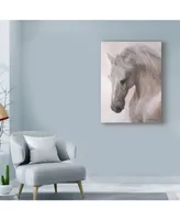 Lee Mitchelson 'Free Spirit White Horse' Canvas Art - 35" x 47"