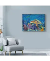 Lucy P. Mctier 'Loggerhead Turtle' Canvas Art - 24" x 18"